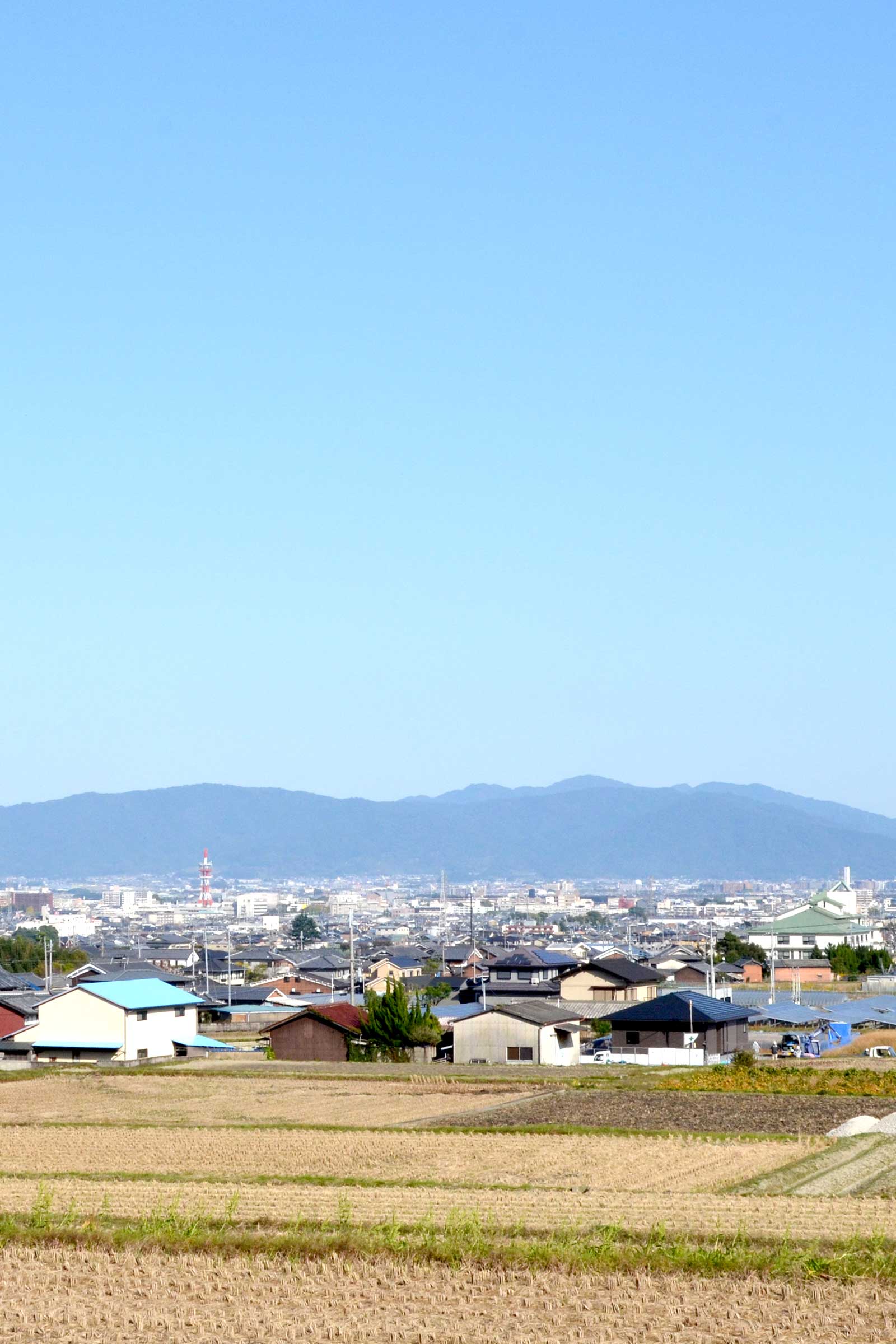 環境への取り組み